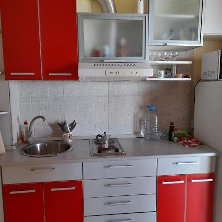 Nasty Apartament コスティネシュティ エクステリア 写真